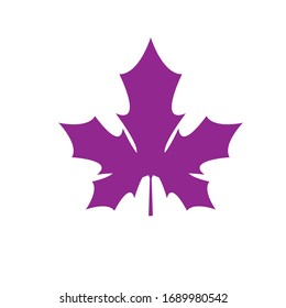 Maple leaf vector icon. 