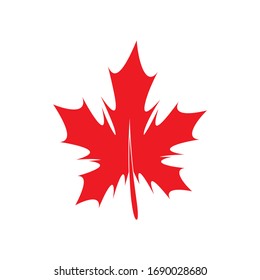 Maple leaf vector icon. 