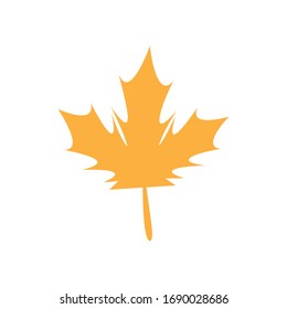 Maple leaf vector icon. 