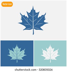 Maple leaf vector icon.