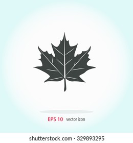 Maple leaf vector icon.