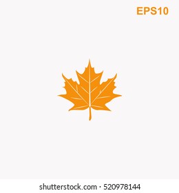 Maple leaf vector icon