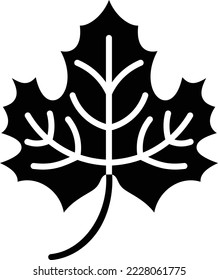 Maple Leaf vector icon. Can be used for printing, mobile and web applications.