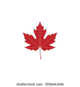 Icono vector de hoja de arce, logotipo de hoja de arce canadiense aislado en blanco