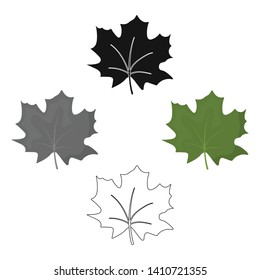 Maple Leaf vector icon in cartoon,black style for web