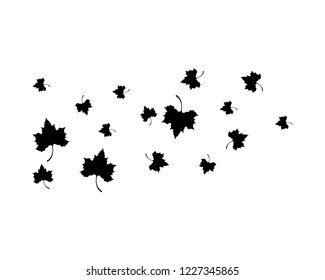 Maple leaf vector icon illustration