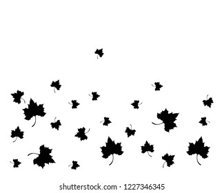 Maple leaf vector icon illustration