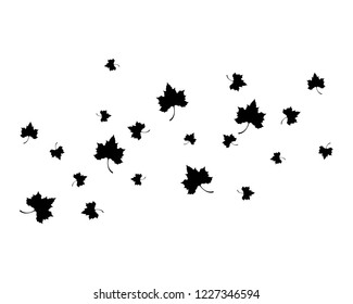 Maple leaf vector icon illustration