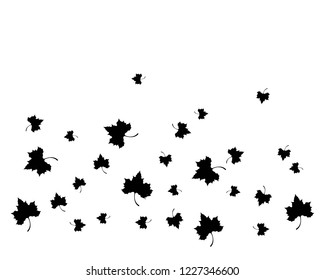 Maple leaf vector icon illustration