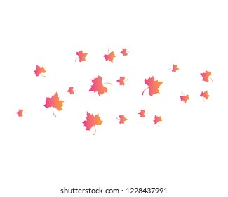 Maple leaf vector icon illustration