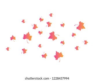 Maple leaf vector icon illustration