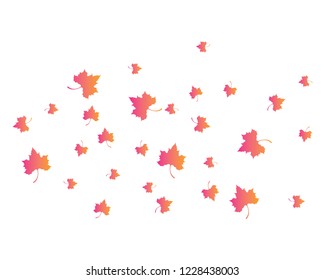 Maple leaf vector icon illustration