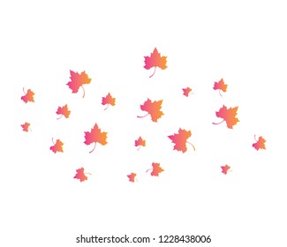 Maple leaf vector icon illustration