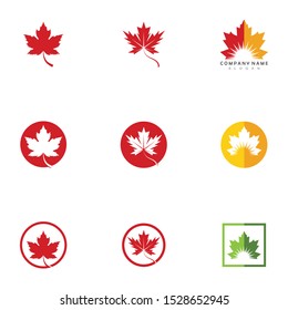 Maple leaf vector icon. Maple leaf vector illustration