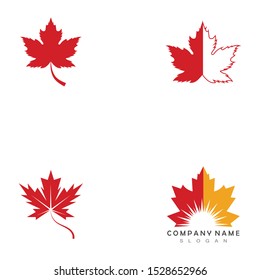 Maple leaf vector icon. Maple leaf vector illustration