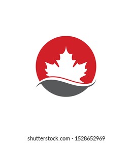 Maple leaf vector icon. Maple leaf vector illustration