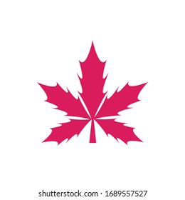Maple leaf vector icon. Maple leaf vector illustration. Canada vector symbol maple leaf clip art. Red maple leaf.