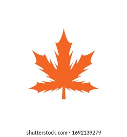 Maple leaf vector icon. Maple leaf vector illustration. Canada vector symbol maple leaf clip art. Red maple leaf.