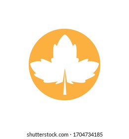 Maple leaf vector icon. Maple leaf vector illustration. Canada vector symbol maple leaf clip art. Red maple leaf.