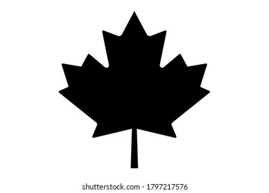 Maple leaf vector icon. Maple leaf vector illustration. Canada vector symbol 