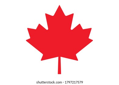 Maple leaf vector icon. Maple leaf vector illustration. Canada vector symbol 