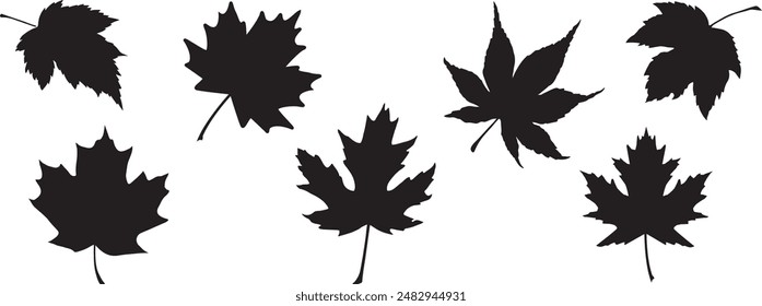 Maple leaf vector icon. Maple leaf vector illustration. Canada vector symbol maple leaf clip art. Maple leaf silhouette logo isolated on white background. Realistic falling leaves.