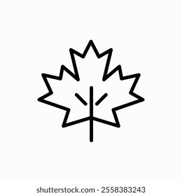 Maple leaf vector icon. Maple leaf vector illustration. Canada vector symbol maple leaf clip art