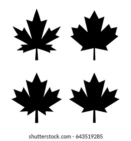 Maple leaf vector icon on white background