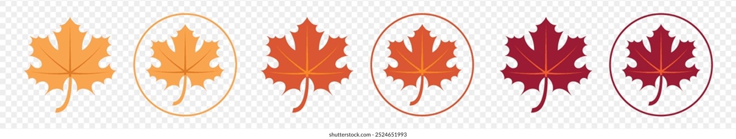 Maple leaf vector icon set. Maple leaf vector . Canada symbol maple leaf clip art. Red , black maple leaf. Canada flag. silhouettes , isolated on transparent background, used for mobile, app, logo