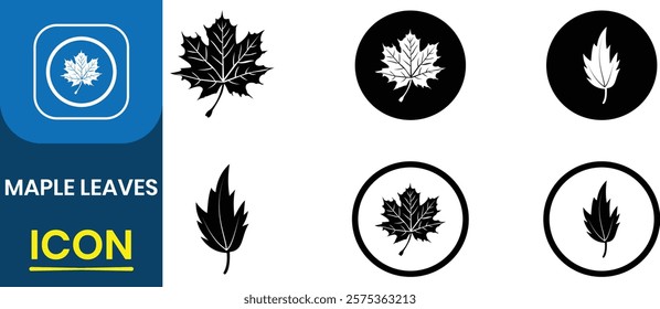 Maple leaf vector icon set. Nature leaves, Autumn Tree, Forest and wood symbol sign. Autumn orange maple leaf graphic print or pattern, vector illustration.