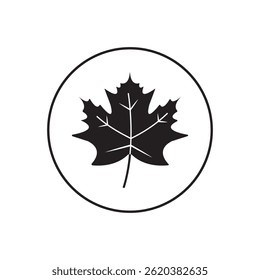 Maple Leaf vector icon set in solid style on white background.  EPS10