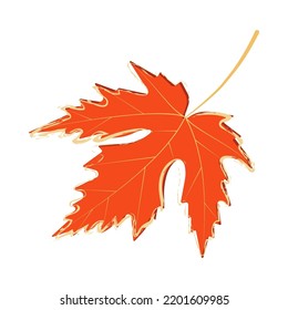 The maple leaf. Vector illustration.
