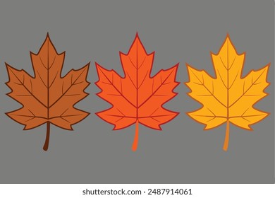 Maple Leaf Vector Illustration | Cartoon, Clipart, Line Art Design. Maple leaf vector illustration: cartoon, clipart, and line art design for digital prints