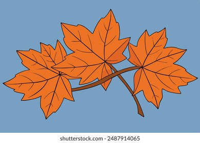 Maple Leaf Vector Illustration | Cartoon, Clipart, Line Art Design. Maple leaf vector illustration: cartoon, clipart, and line art design for digital prints