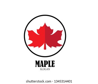 Maple leaf vector illustration design Logo template - Vector
