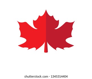 Maple leaf vector illustration design Logo template - Vector

