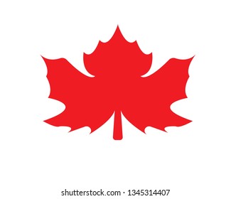 Maple leaf vector illustration design Logo template - Vector
