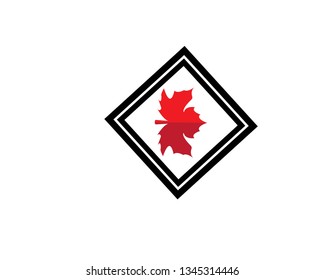 Maple leaf vector illustration design Logo template - Vector
