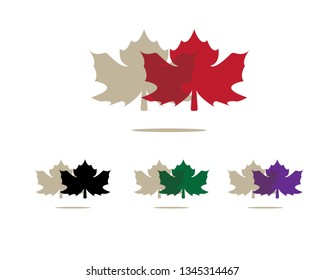 Maple leaf vector illustration design Logo template - Vector
