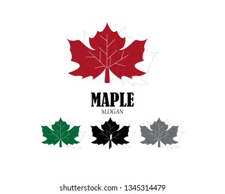 Maple leaf vector illustration design Logo template - Vector
