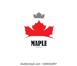 Maple leaf vector illustration design Logo template - Vector
