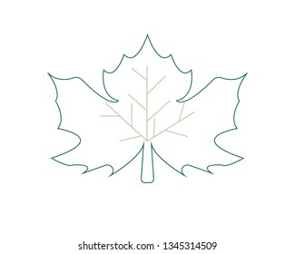 Maple leaf vector illustration design Logo template - Vector
