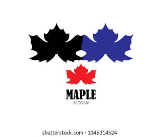 Maple leaf vector illustration design Logo template - Vector
