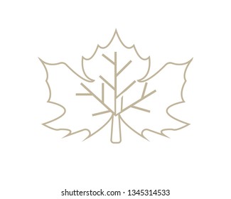 Maple leaf vector illustration design Logo template - Vector
