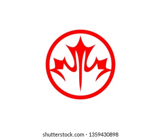 Maple leaf vector illustration design template