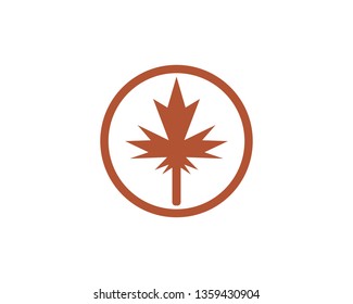 Maple leaf vector illustration design template