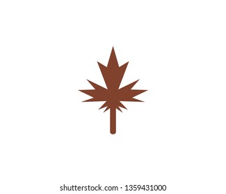 Maple leaf vector illustration design template