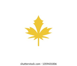 Maple leaf vector illustration design template