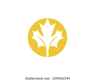 Maple leaf vector illustration design template