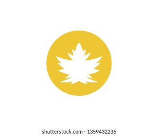Maple leaf vector illustration design template